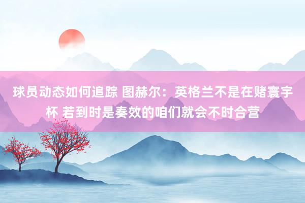 球员动态如何追踪 图赫尔：英格兰不是在赌寰宇杯 若到时是奏效的咱们就会不时合营