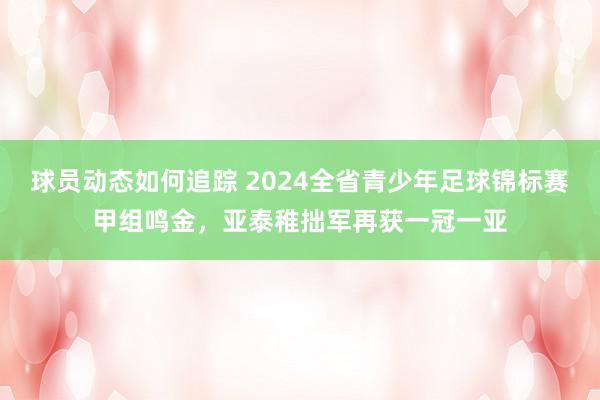 球员动态如何追踪 2024全省青少年足球锦标赛甲组鸣金，亚泰稚拙军再获一冠一亚