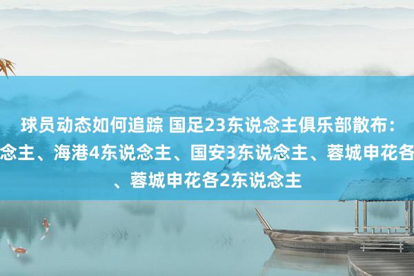 球员动态如何追踪 国足23东说念主俱乐部散布：泰山6东说念主、海港4东说念主、国安3东说念主、蓉城申花各2东说念主