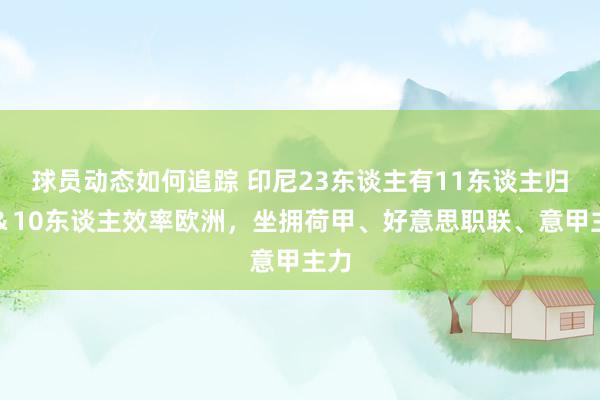 球员动态如何追踪 印尼23东谈主有11东谈主归化＆10东谈主效率欧洲，坐拥荷甲、好意思职联、意甲主力