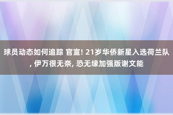 球员动态如何追踪 官宣! 21岁华侨新星入选荷兰队, 伊万很无奈, 恐无缘加强版谢文能