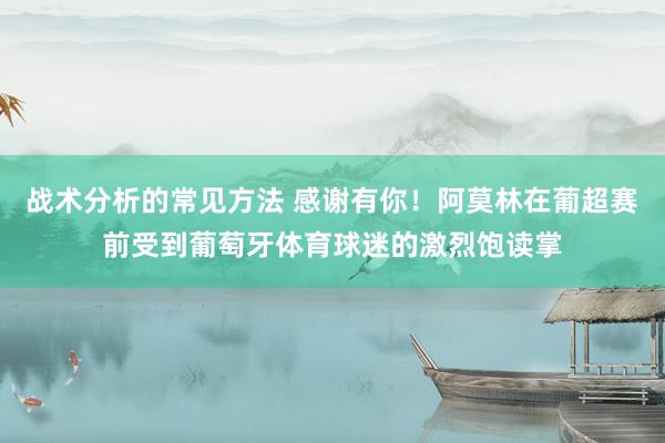 战术分析的常见方法 感谢有你！阿莫林在葡超赛前受到葡萄牙体育球迷的激烈饱读掌