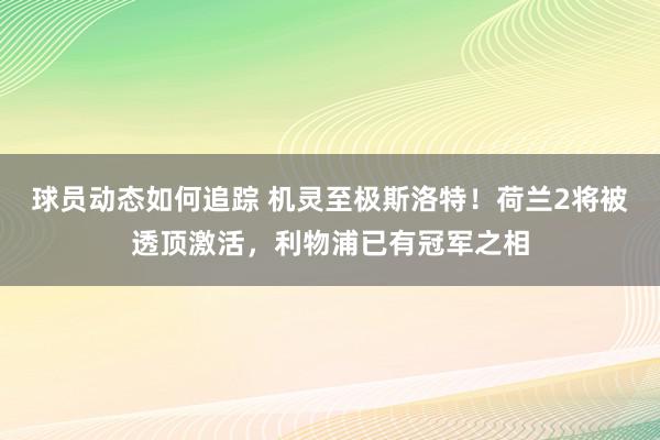 球员动态如何追踪 机灵至极斯洛特！荷兰2将被透顶激活，利物浦已有冠军之相