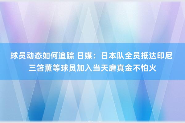 球员动态如何追踪 日媒：日本队全员抵达印尼 三笘薫等球员加入当天磨真金不怕火