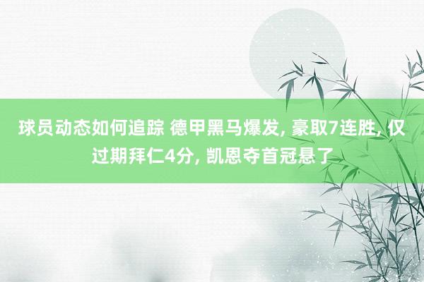 球员动态如何追踪 德甲黑马爆发, 豪取7连胜, 仅过期拜仁4分, 凯恩夺首冠悬了