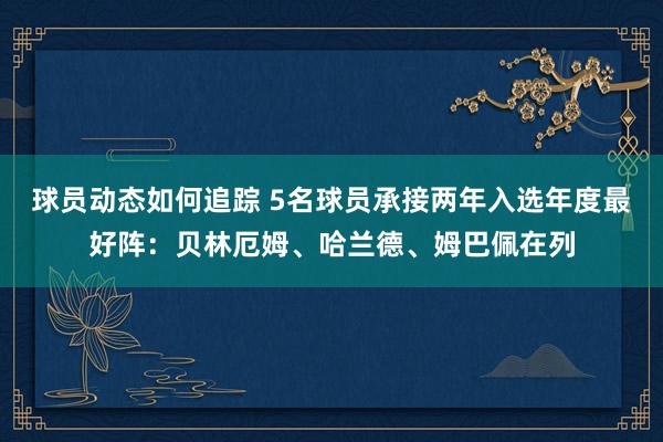 球员动态如何追踪 5名球员承接两年入选年度最好阵：贝林厄姆、哈兰德、姆巴佩在列