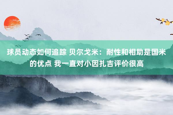 球员动态如何追踪 贝尔戈米：耐性和相助是国米的优点 我一直对小因扎吉评价很高