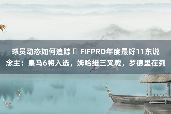 球员动态如何追踪 ⭐FIFPRO年度最好11东说念主：皇马6将入选，姆哈维三叉戟，罗德里在列