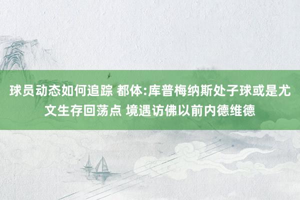 球员动态如何追踪 都体:库普梅纳斯处子球或是尤文生存回荡点 境遇访佛以前内德维德