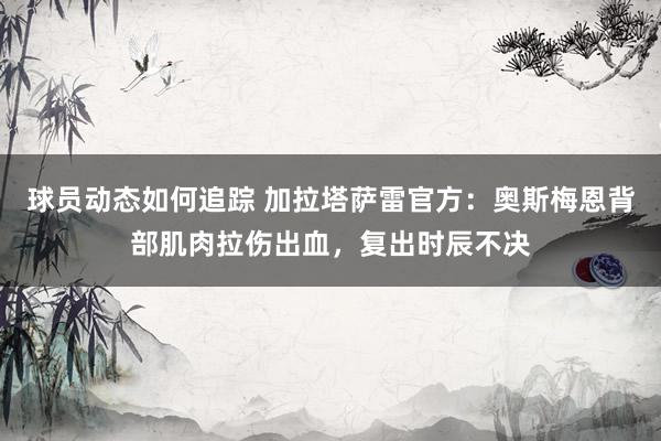 球员动态如何追踪 加拉塔萨雷官方：奥斯梅恩背部肌肉拉伤出血，复出时辰不决