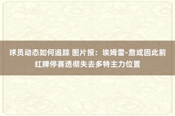 球员动态如何追踪 图片报：埃姆雷-詹或因此前红牌停赛透彻失去多特主力位置