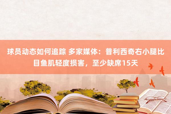 球员动态如何追踪 多家媒体：普利西奇右小腿比目鱼肌轻度损害，至少缺席15天