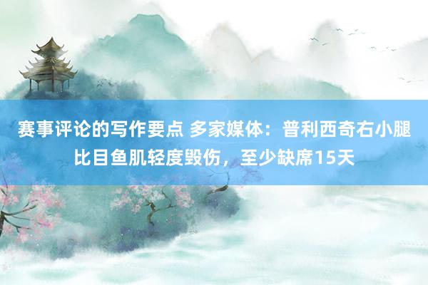 赛事评论的写作要点 多家媒体：普利西奇右小腿比目鱼肌轻度毁伤，至少缺席15天