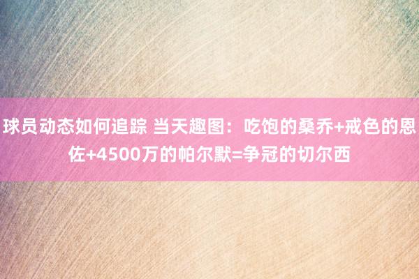 球员动态如何追踪 当天趣图：吃饱的桑乔+戒色的恩佐+4500万的帕尔默=争冠的切尔西