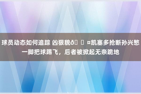 球员动态如何追踪 凶狠貌😤凯塞多抢断孙兴慜一脚把球踢飞，后者被掀起无奈跪地