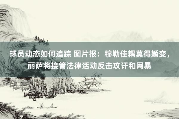 球员动态如何追踪 图片报：穆勒佳耦莫得婚变，丽萨将接管法律活动反击攻讦和网暴