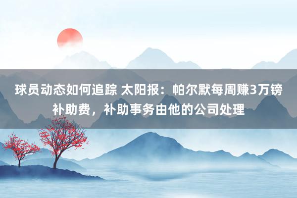 球员动态如何追踪 太阳报：帕尔默每周赚3万镑补助费，补助事务由他的公司处理