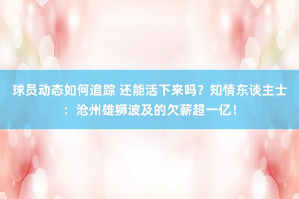 球员动态如何追踪 还能活下来吗？知情东谈主士：沧州雄狮波及的欠薪超一亿！