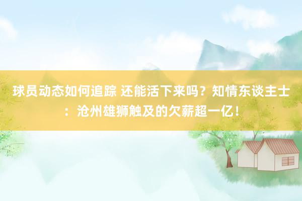 球员动态如何追踪 还能活下来吗？知情东谈主士：沧州雄狮触及的欠薪超一亿！