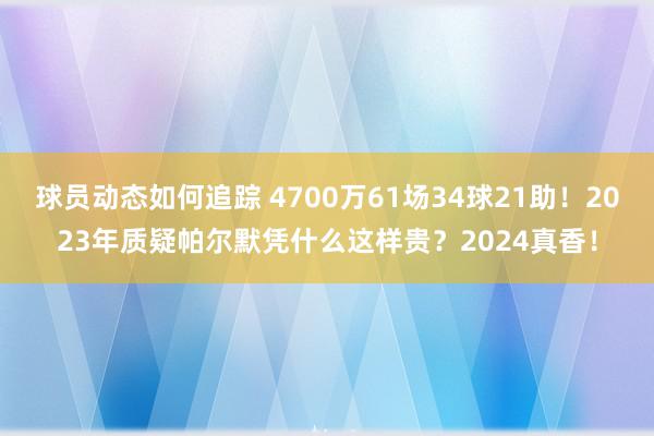 球员动态如何追踪 4700万61场34球21助！2023年质疑帕尔默凭什么这样贵？2024真香！