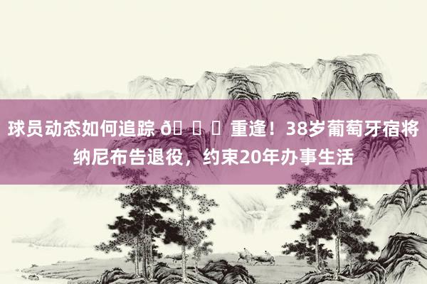 球员动态如何追踪 👋重逢！38岁葡萄牙宿将纳尼布告退役，约束20年办事生活