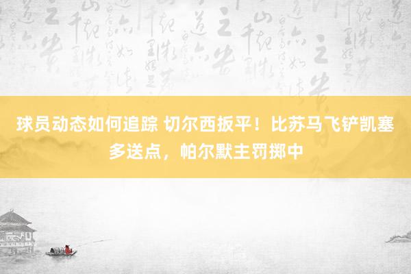 球员动态如何追踪 切尔西扳平！比苏马飞铲凯塞多送点，帕尔默主罚掷中