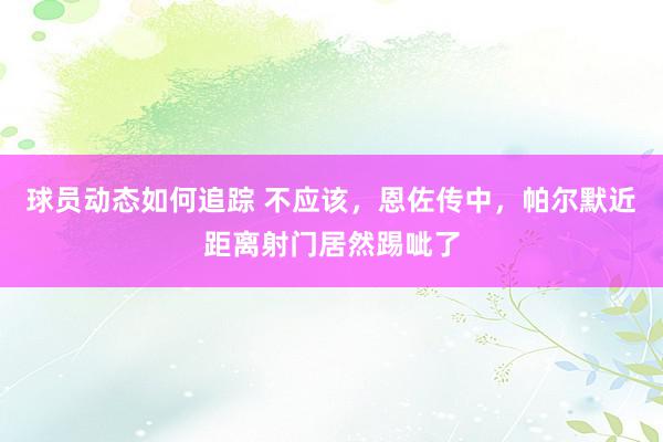 球员动态如何追踪 不应该，恩佐传中，帕尔默近距离射门居然踢呲了