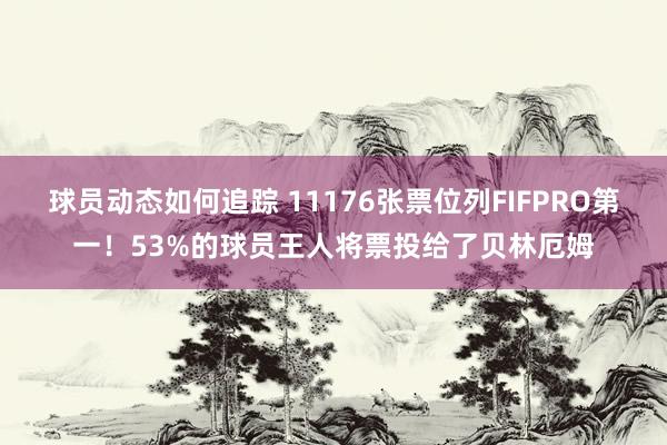 球员动态如何追踪 11176张票位列FIFPRO第一！53%的球员王人将票投给了贝林厄姆