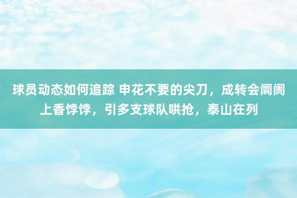 球员动态如何追踪 申花不要的尖刀，成转会阛阓上香饽饽，引多支球队哄抢，泰山在列