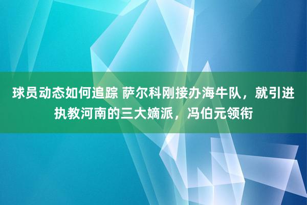 球员动态如何追踪 萨尔科刚接办海牛队，就引进执教河南的三大嫡派，冯伯元领衔