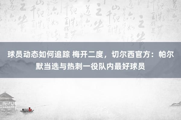 球员动态如何追踪 梅开二度，切尔西官方：帕尔默当选与热刺一役队内最好球员