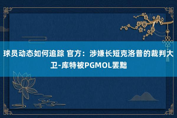 球员动态如何追踪 官方：涉嫌长短克洛普的裁判大卫-库特被PGMOL罢黜