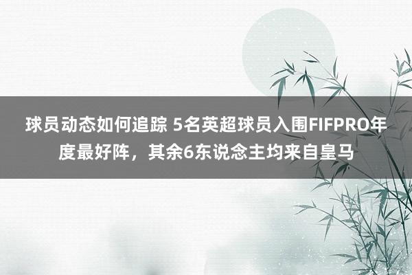 球员动态如何追踪 5名英超球员入围FIFPRO年度最好阵，其余6东说念主均来自皇马